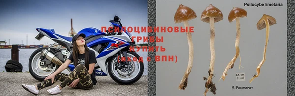 МДПВ Алзамай
