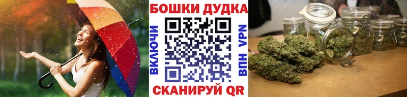 Каннабис индика  Енисейск 